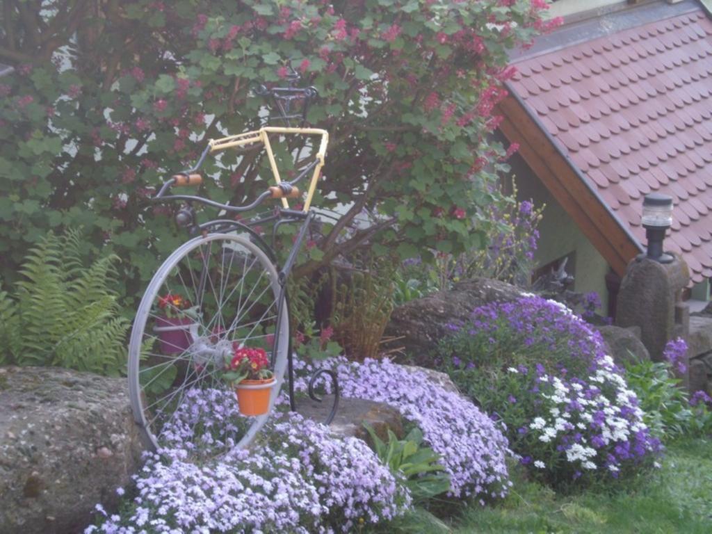 Au Bon Logis Leilighet Thannenkirch Rom bilde